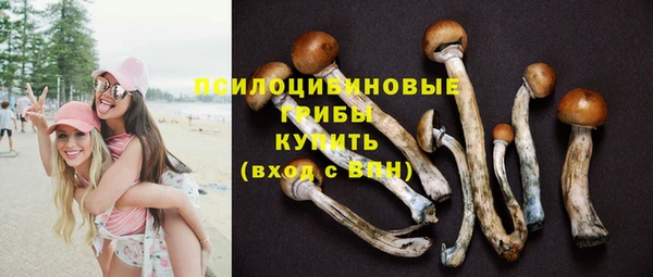 мдма Заволжье